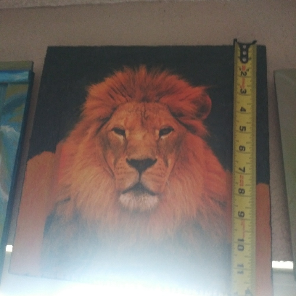 Portrait of lion.